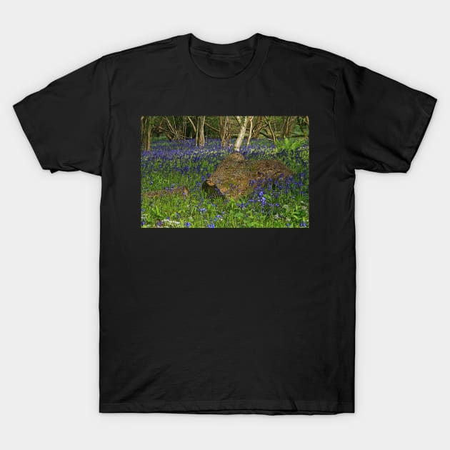 Bluebell Wood T-Shirt by RedHillDigital